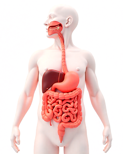 Journal of Innovations in GastroHepatic Research