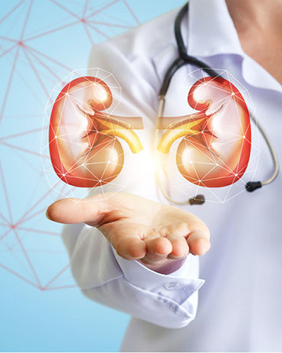 International Journal of Uronephrology advancements